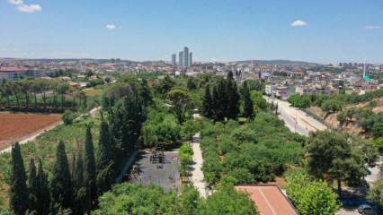 Başkan Şahin&rsquo;den Gaziantep&rsquo;e bahar &ccedil;ağrısı