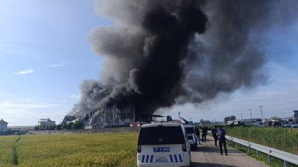 Antalya'da patates &uuml;retim tesisinde yangın