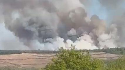 Beykoz'da ormanlık alanda yangın!