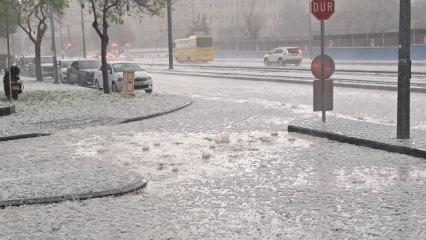 Ceviz b&uuml;y&uuml;kl&uuml;ğ&uuml;nde dolu! Dakikalar i&ccedil;inde hayat durdu