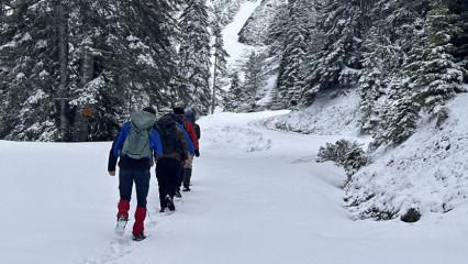 Ilgaz Dağı&rsquo;nda nisanda kar s&uuml;rprizi: Doğaseverlerden kış y&uuml;r&uuml;y&uuml;ş&uuml;