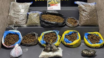 İzmir&rsquo;de 16,5 kilo skunk ele ge&ccedil;irildi
