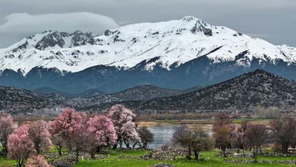 Konya&rsquo;da iki mevsim bir arada: Anamas Dağı&rsquo;nın etekleri bahar, zirvesi kış