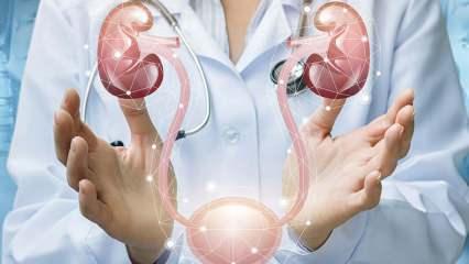 Mesane kanserinde sinsi tehlike: "İdrardaki her kanama hayati &ouml;nem taşıyor"