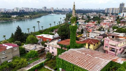 Minaresine kadar sarmaşık kaplı cami, g&ouml;renleri kendine hayran bırakıyor