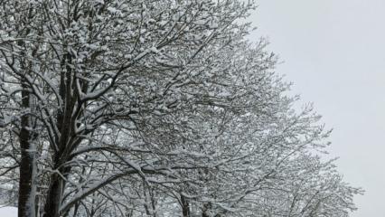 Nisan sonunda Uludağ&rsquo;da kış geri d&ouml;nd&uuml;