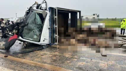 Siirt'te koyun y&uuml;kl&uuml; kamyonet ile otomobil &ccedil;arpıştı: 2 &ouml;l&uuml;, 3 yaralı