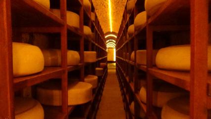 T&uuml;rkiye&rsquo;de ilk ve tek! Kars Peynir M&uuml;zesi turistlerin g&ouml;zdesi oldu