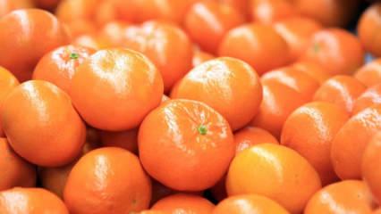 Turun&ccedil;gil ihracatı 697,7 milyon dolara ulaştı