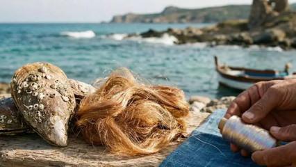 Sadece imparatorların giydiği kumaşın gizemi &ccedil;&ouml;z&uuml;ld&uuml;!