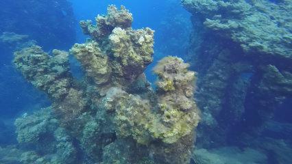 Van G&ouml;l&uuml;&rsquo;ndeki dev mikrobiyalitler Guinness yolunda