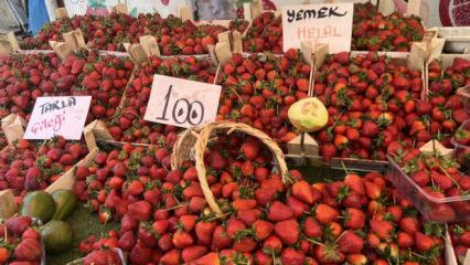 Yaz meyveleri tezgahlara &ccedil;ıktı! &Ccedil;ilek 100 lira, erik 200 lira...
