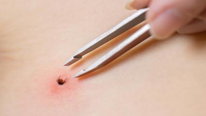 1 kişi hayatını kaybetmişti! Kabus devam ediyor: 2 kişi daha hastanede tedavi altında!