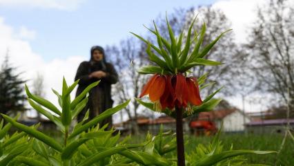 5 yıldır g&ouml;r&uuml;lm&uuml;yordu! Denizli&rsquo;de &ldquo;Ağlayan Gelin&rdquo; g&ouml;renleri sevince boğdu