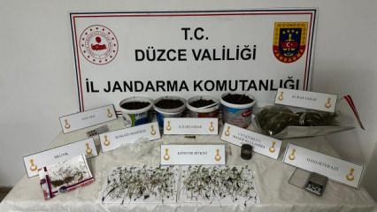 D&uuml;zce&rsquo;de evini uyuşturucu tarlasına &ccedil;evirmiş: Saksılarda y&uuml;zlerce k&ouml;k kenevir &ccedil;ıktı!