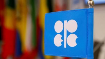 BAE'den OPEC kararı!