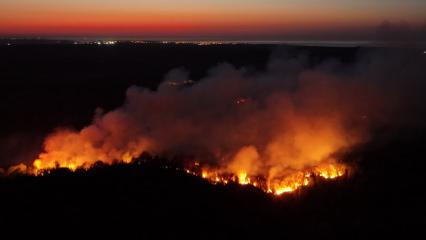 Beykoz'da ormanlık alanda &ccedil;ıkan yangın kontrol altına alındı