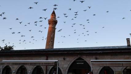 Eğri minaresi şaşırtıyor! Sivas&rsquo;taki 8 asırlık Ulu Camii&rsquo;nde &ccedil;alışmalar s&uuml;r&uuml;yor
