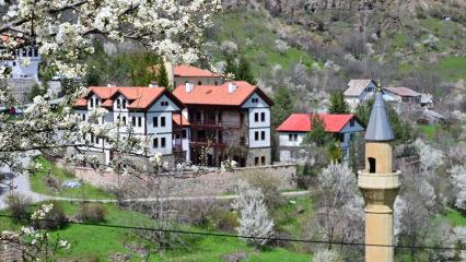G&uuml;m&uuml;şhane&rsquo;de bahar tablosu: Tarihi S&uuml;leymaniye Mahallesi beyaza b&uuml;r&uuml;nd&uuml;