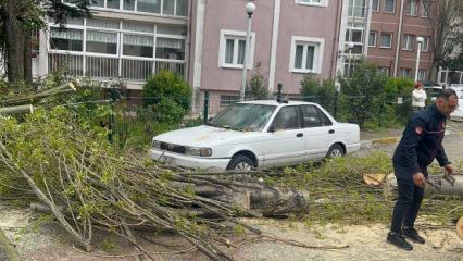 İstanbul'da fırtına alarmı! Otomobilin &uuml;st&uuml;ne ağa&ccedil; devrildi