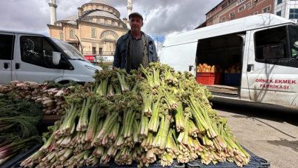 Kilogramı 150 TL'ye dayandı! Y&uuml;z g&uuml;ld&uuml;ren hasat