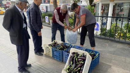 Patlıcanlar maliyetini kurtarmayınca halka &uuml;cretsiz dağıttı