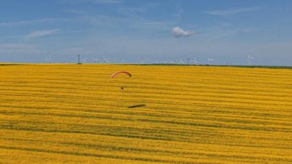 Sarı tarlalar &uuml;zerinde s&uuml;z&uuml;ld&uuml;! Tekirdağ'da kanola tarlaları mest etti
