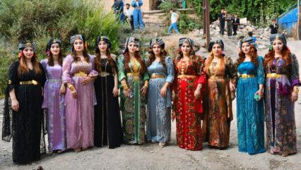 Şırnak'ta Goyan aşiretinden d&uuml;ğ&uuml;n masraflarına 21 maddelik neşter: 4'te 1 oranında d&uuml;şt&uuml;