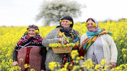 Trakya&rsquo;da agro turizm hareketliliği! Masalsı manzaralara yoğun ilgi