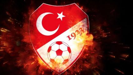 T&uuml;rk futbolunda bu da oldu! 16 kul&uuml;b&uuml;n TFF'den isteği şoke etti