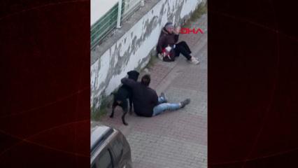 &Uuml;mraniye&rsquo;de ağızlıksız gezdirilen rottweiler, k&uuml;&ccedil;&uuml;k ırk k&ouml;peğe saldırdı