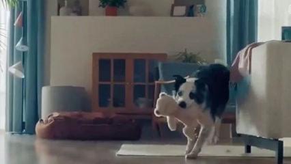 Bosch'un skandal reklamına tepkiler s&uuml;r&uuml;yor: T&uuml;rkiye'nin değer d&uuml;nyası hafife alınıyor