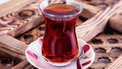&Ccedil;ay şampiyonu il belli oldu! İlk sırada Karadeniz'in olmaması şaşırttı