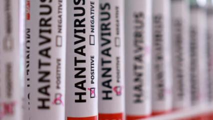Herkesin aklında tek soru! Hantavir&uuml;s insandan insana bulaşır mı?