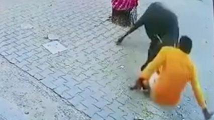 Hindistan'da ineğe saldıran adam boynuz darbesiyle yere serildi