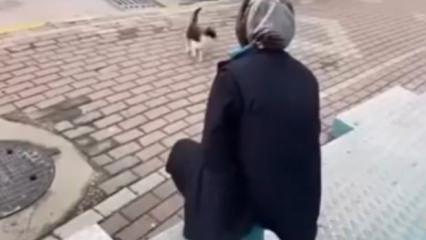 Kedinin y&uuml;z&uuml;ne sprey sıkan market &ccedil;alışanı g&ouml;zaltına alındı