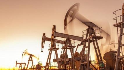 Komşu &uuml;lkeden T&uuml;rkiye'ye petrol teklifi! 'Daha aktif rol &uuml;stlenin'