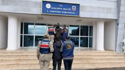 Resmi belgede sahteciliğe 2 g&ouml;zaltı