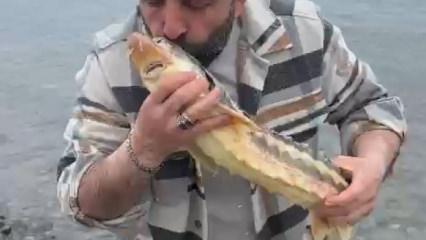 Satın aldığı balığı, canlı ve nesli tehlikedeki t&uuml;r olduğunu g&ouml;r&uuml;nce denize ulaştırdı