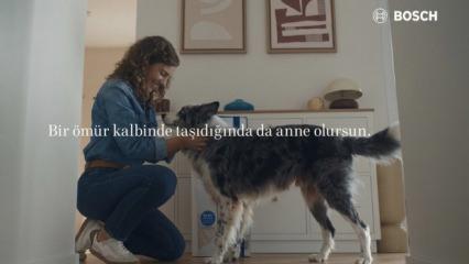 Sokak k&ouml;pekleri, evlatlarımız ve &ldquo;Anne&rdquo;liğin tanımını zorlamaya kalkışmak