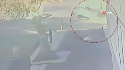 G&uuml;rcistan&rsquo;da meydana gelen feci trafik kazası y&uuml;rekleri yaktı