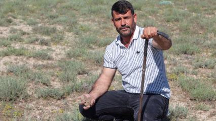 "Dolaman kurdu" g&uuml;nde 60 bin liralık mantar buluyor