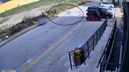 Hatay'da 7 yaşındaki &ccedil;ocuğun başıboş sokak k&ouml;peklerinden ka&ccedil;tığı anlar kamerada 