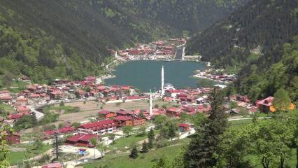 Karadeniz yaylaları bayram tatiline hazır: Rezervasyon oranları y&uuml;zde 80&rsquo;e ulaştı