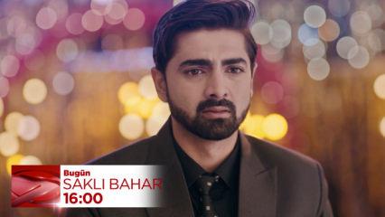 Saklı Bahar'da Mishri'nin s&uuml;rprizi bozuluyor! Evden kovulacak mı?