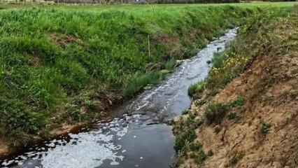 Sinop&rsquo;ta &ccedil;evreyi kirleten tesise 1.6 milyon TL ceza