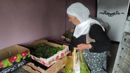Unutulan iş kolu yeniden canlandırılıyor: Bir aile 40 g&uuml;nde 350 bin TL kazanabilecek 