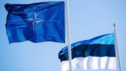 Estonya'da İHA d&uuml;ş&uuml;r&uuml;ld&uuml;! NATO'dan a&ccedil;ıklama