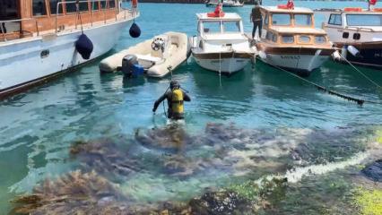 İstanbul Boğazı&rsquo;nda kahreden olay! Midye i&ccedil;in daldı, cesedi 12 saat sonra bulundu