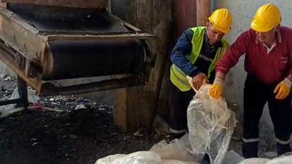 Tekirdağ'da gıda skandalı: 1,2 ton sakatat imha edildi